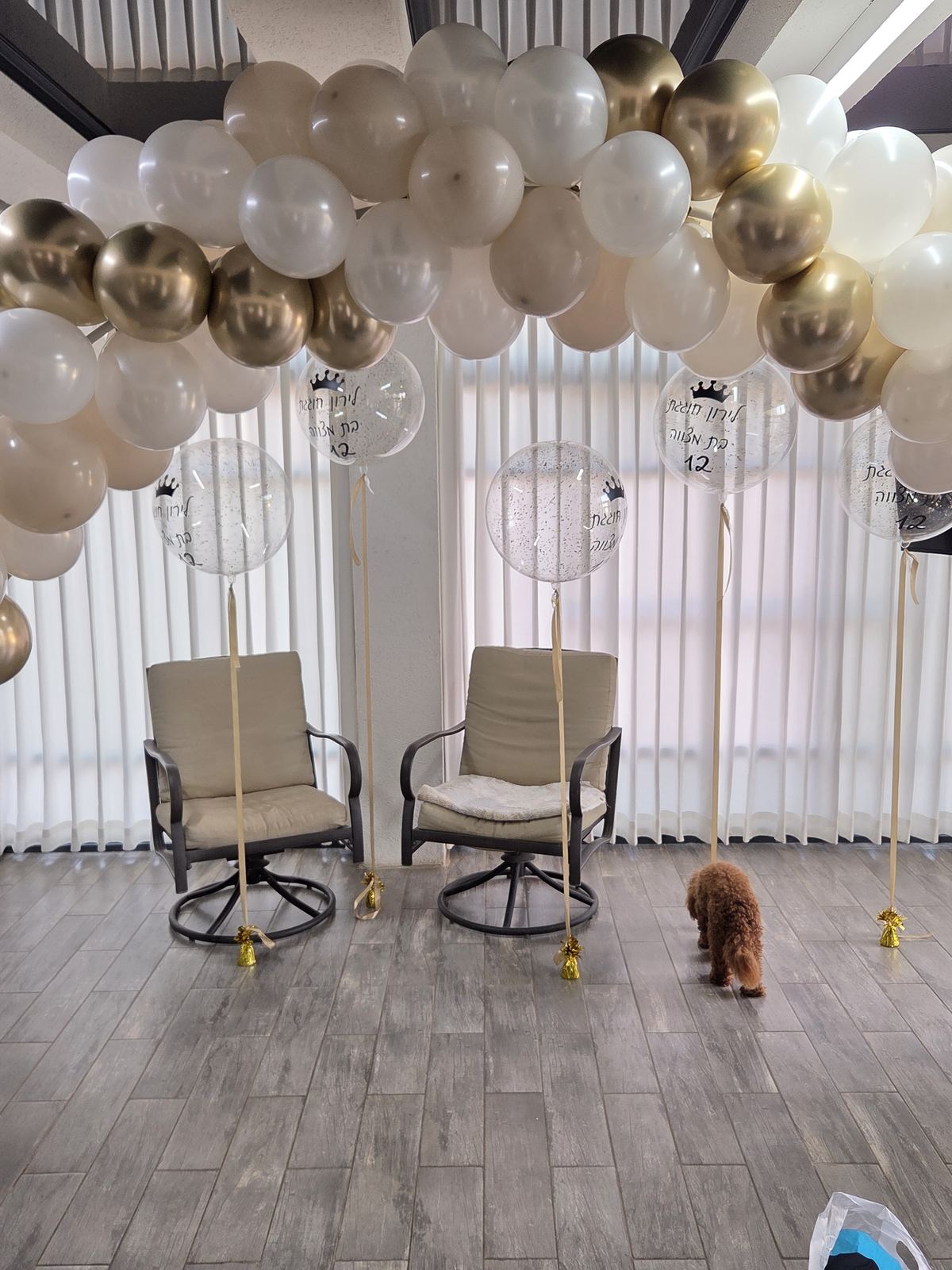 סוגי עיצובים — Neto Balloon